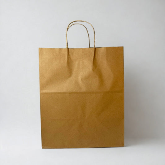 CM6 - 10.25" Kraft Handle Bag
