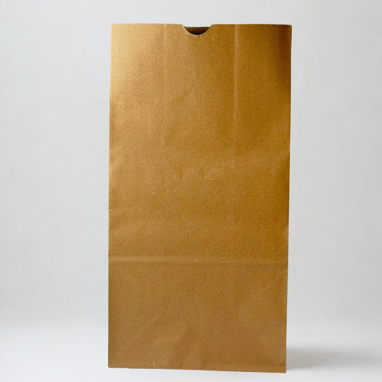 12lb Kraft Paper Bag
