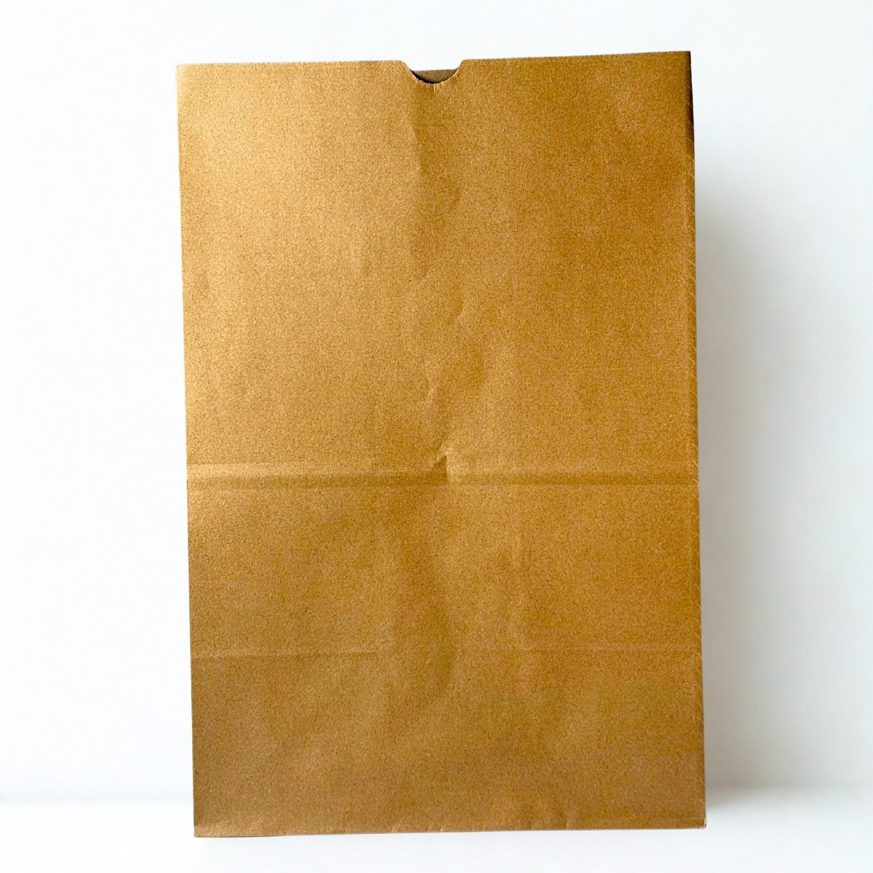 #536 Kraft Paper Bag